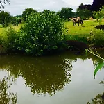 Paardenhof Esquelbecq