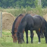 Bed & Breakfast Paardenhof 4*