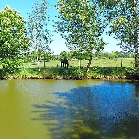 Paardenhof Nocleg ze śniadaniem Esquelbecq
