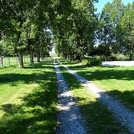 Nocleg ze śniadaniem Paardenhof Esquelbecq