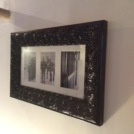 Paardenhof Esquelbecq