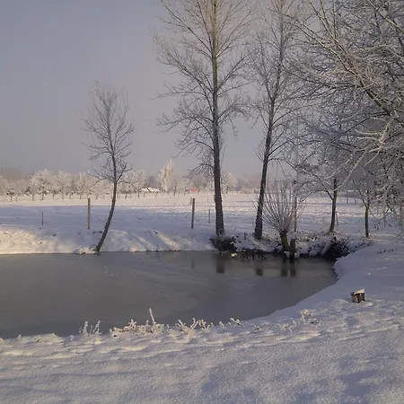 Bed & Breakfast Paardenhof Esquelbecq