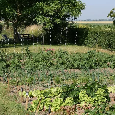 Paardenhof