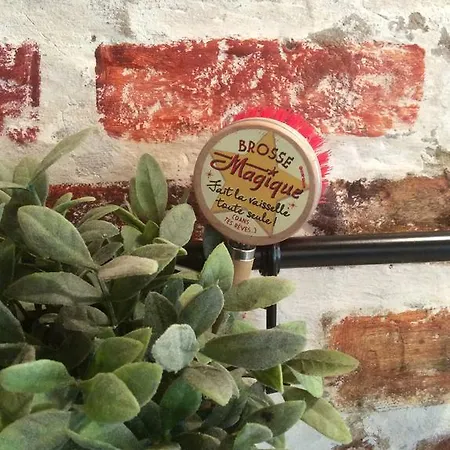 Bed & Breakfast Paardenhof 4*