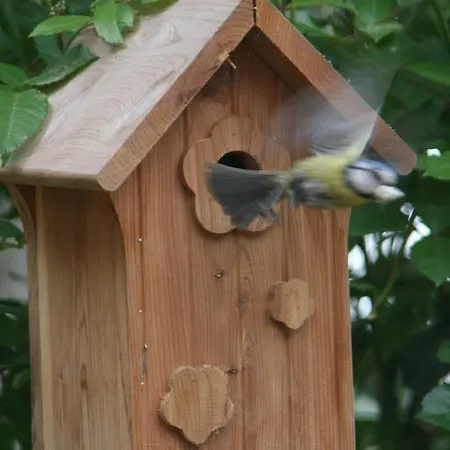 Paardenhof Esquelbecq