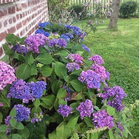 Paardenhof Bed & Breakfast Esquelbecq