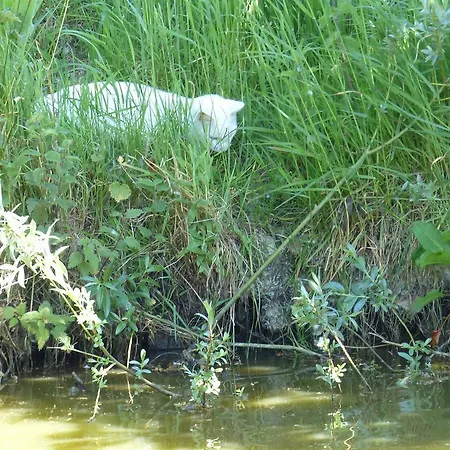 Paardenhof Esquelbecq