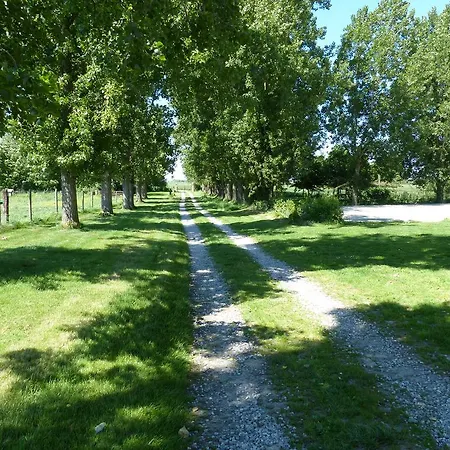 Paardenhof Bed & Breakfast 3*