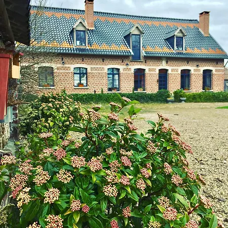 Bed & Breakfast Paardenhof